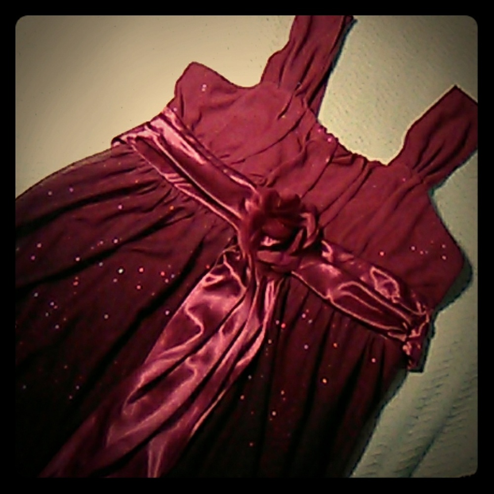 Sparkly fuchsia knee length dress